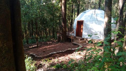 Glamping Don Delfis in Valle de Bravo, Mexico