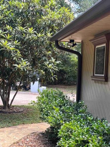 Enchanted Haven-A serene cottage in the Woodlands! Enchanted Haven-A serene cottage in the Woodlands!