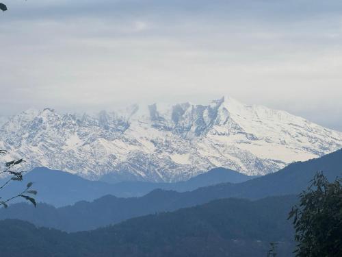 THE HIMALAYAN WOODS, CHAUKORI