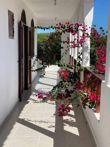 Casa Zanelli, lugar de paz… in Las Calderas