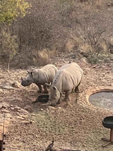 Itaga View, Mabalingwe, Mabula (foto 4)