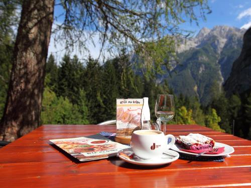 PLANINSKA KOČA NA GOZDU - image 10