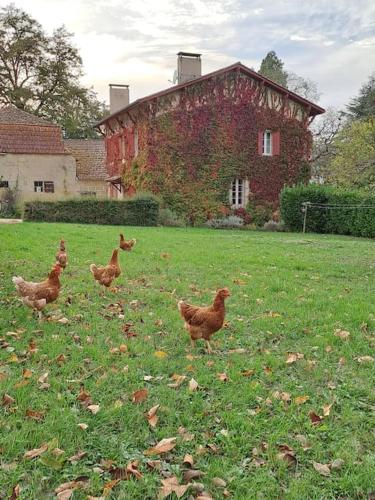 Gîte Le Pavillon dans le parc du Château Lescaut