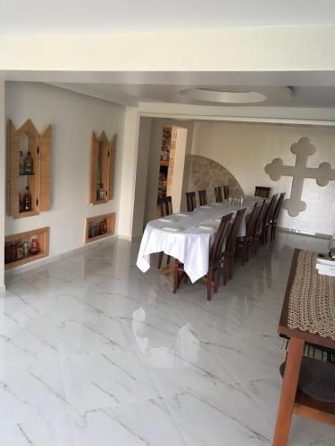 Vila Djekic in اندريجيفيكا