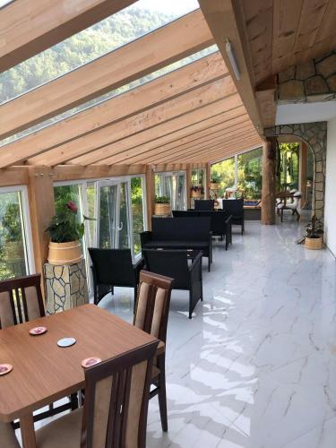 Vila Djekic in اندريجيفيكا