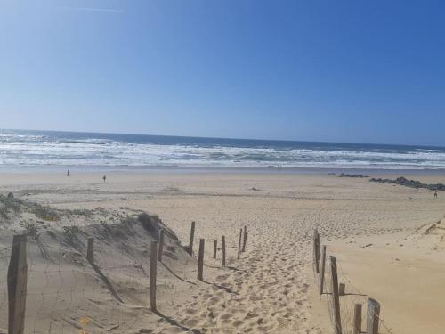 FLAT BEHIND THE DUNE IN SEIGNOSSE (5 km hossegor)