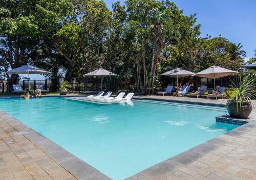 Swimming pool, Hotel Olivewood in Amatola Coastal