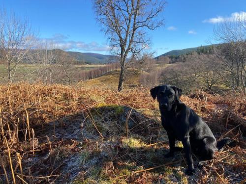 Crofts Mill – Ballater