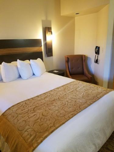 1 queen bed