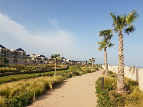 Beach, Riad Dar Haven in Taghazout