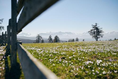  Pension Panorama in St. Lorenzen