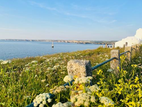 Nearby attraction, Treheveras Guest House near Fistral Blu
