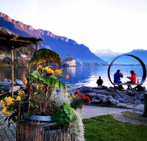 Strand, Studio 5 places à deux pas du Lac (Studio 5 places a deux pas du Lac) in Veytaux