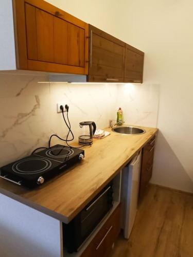virtuve, Apartmán Kostomlaty pod Milešovkou (Apartman Kostomlaty pod Milesovkou) in Trebenice