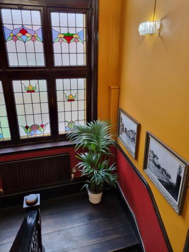 The Windmill - image 9