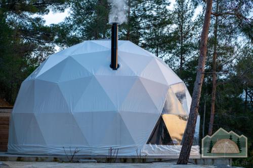 Dome in Nature