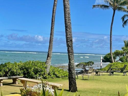 1BR Condo at Oceanfront Resort Kapaa Shore