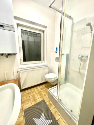 Adelin Vienna - image 6