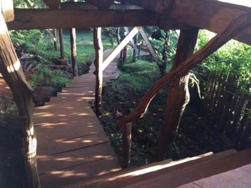 Tree Top Ecolodge