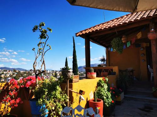 Casa Donaji Guest House — other in 302 A San Luis Beltrán, Oaxaca City Mexico, 68020