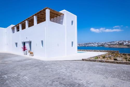 Myko Grand Villa by Bestofmikonos