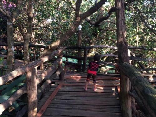 Tree Top Ecolodge
