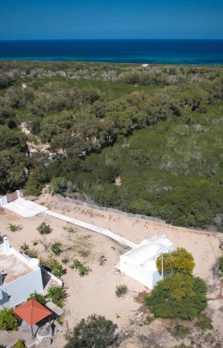 Apkārtne, Douira S+1 in Chebba