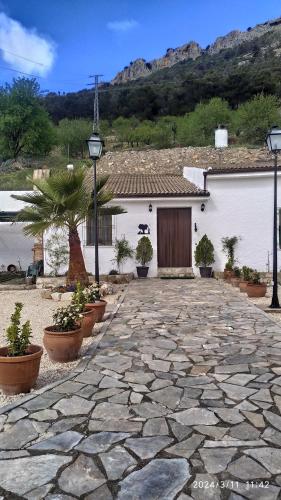 Vestabils, CASA CUEVA EL OLIVO in La Guardia de Jaén