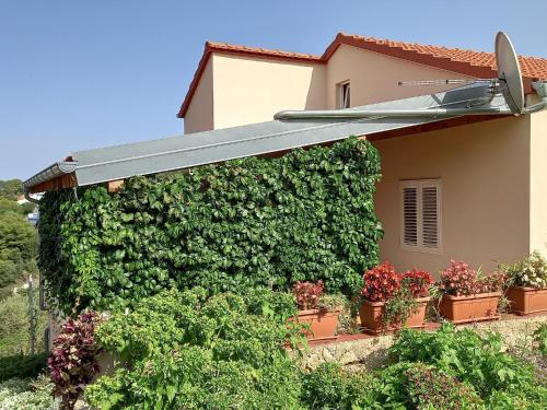 Apartments by the sea Sali Dugi otok - 8117