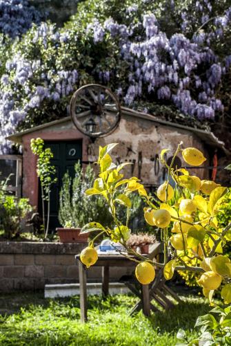 La Casa dei Carrai - image 4