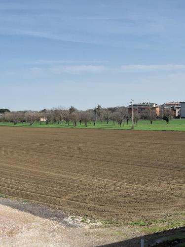 Surrounding environment, Ozz Angel in Ozzano dell' Emilia