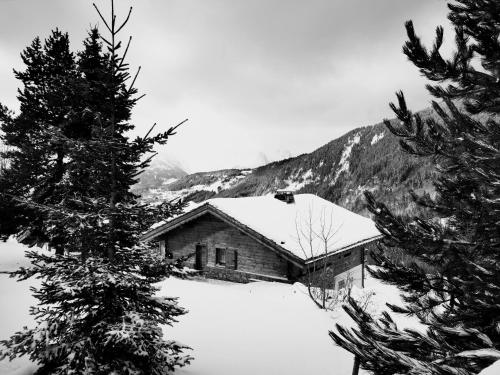 Chalet le Réconfort, accès skis aux pieds - Location, gîte - Saint-François-Longchamp