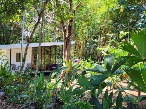 . Luba house