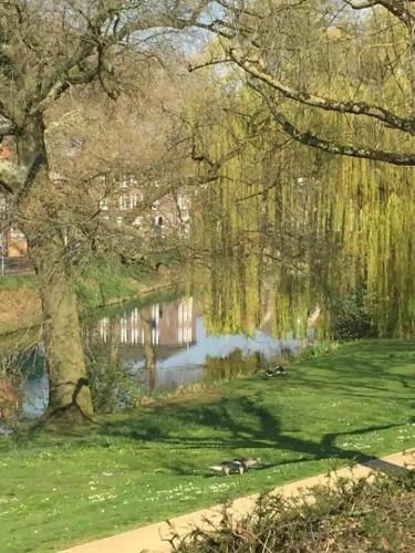 Hemels logeren LUXURY LOFT Zutphen in 祖特芬
