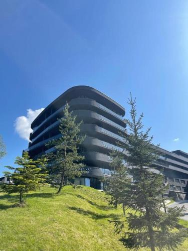 Apartment with Mountain View