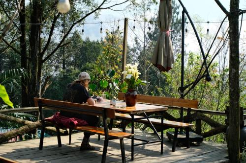 Sapa Jungle Homestay - 정원