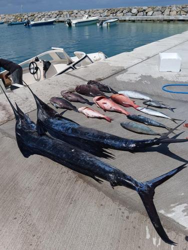 المنطقة المحيطة, Dhonveli Hotel in شافياني أتول