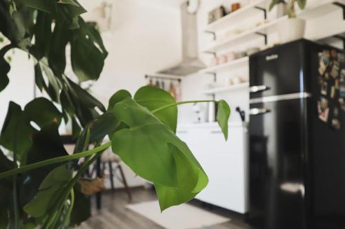 Urban Jungle Apartment 1 - Free Parking, Liubliana (foto 4)