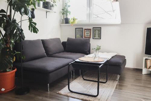 Urban Jungle Apartment 1 - Free Parking, Liubliana (foto 6)