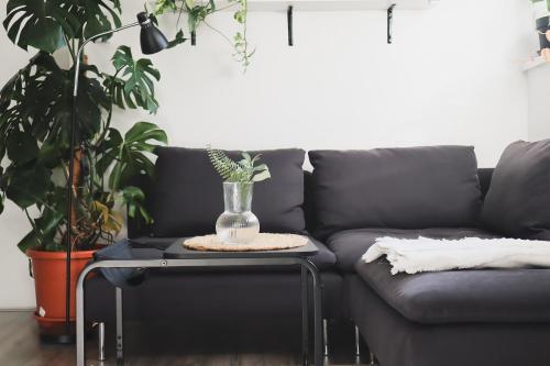 Urban Jungle Apartment 1 - Free Parking, Liubliana (foto 5)