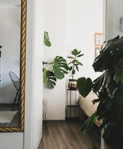 Urban Jungle Apartment 1 - Free Parking, Liubliana (foto 3)