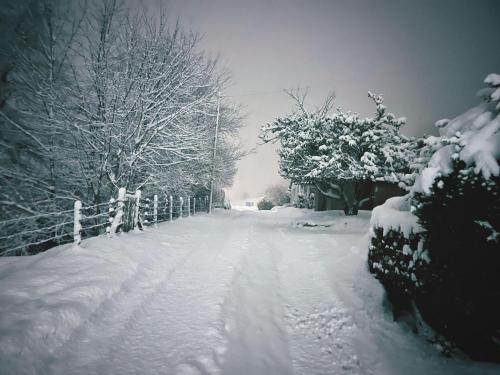 Eldon Lea in สเตร็ปเฟฟเฟอร์