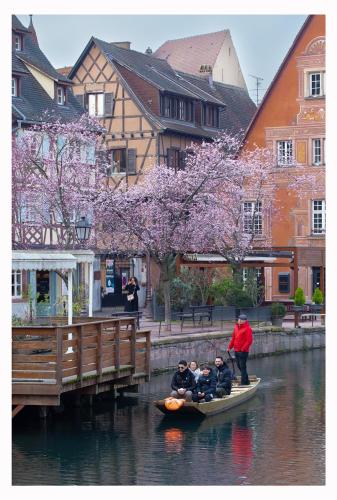 Maison avec terrasse Colmar Centre-Cottage garden terrace Center Old Town Colmar