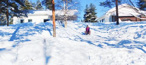 Nordic Villa with private sledding hill