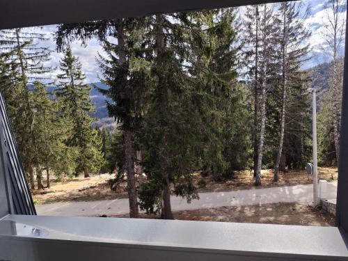 Vila Plava Zlatar in Nova Varoš