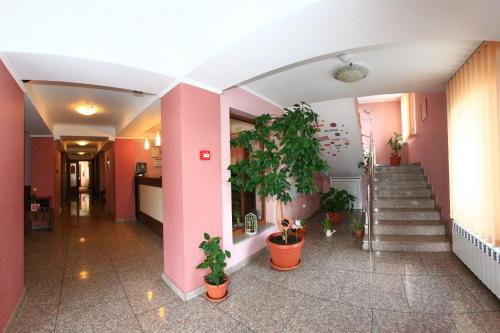 บริการและสิ่งอำนวยความสะดวก, โรงแรมไลรา (Hotel Lyra) in มิไฮเอมิเนสกู