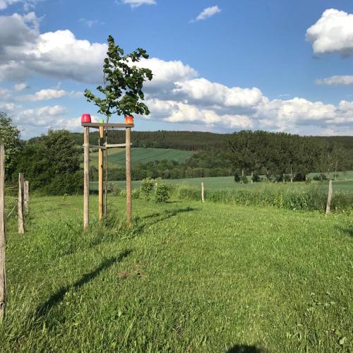 Zelte individuell auf der Obstwiese