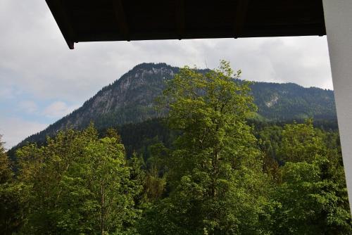 Haus Panorama - image 7