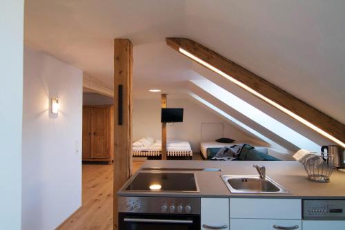 Duplex Apartment