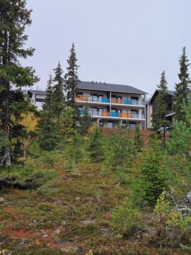 Vista exterior, Laskijantie10C2 in Yllasjarvi